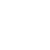 Ver Video